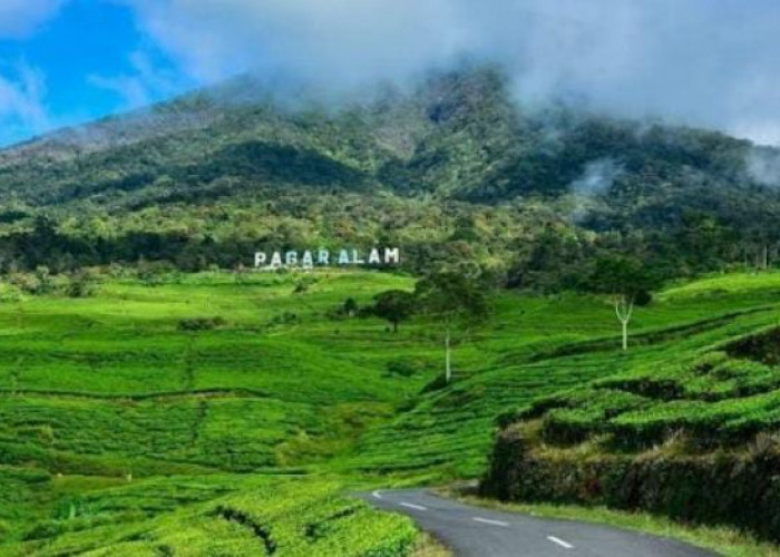 5 Daerah yang Miliki Dataran Tertinggi di Sumatera Selatan, Palembang Hanya Miliki Ketinggian Wilayah 8 Mdpl