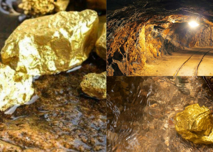 Tambang Emas Provinsi Sumsel Ditemukan! Ada Bongkahan Emas Seukuran Kepala Bayi? Masih Diteliti Jepang dan AS