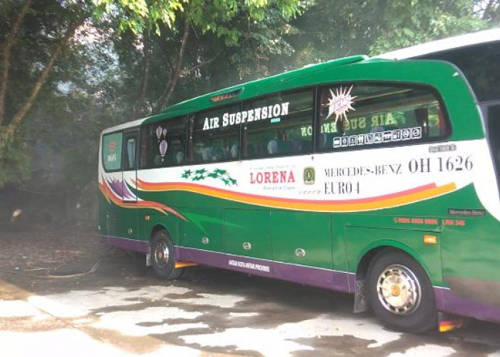 GOKIL Nih, Klakson Telolet Basuri Terbaru dari PO Lorena Bikin Penumpang Bus Anti Rewel dan Fans Bahagia