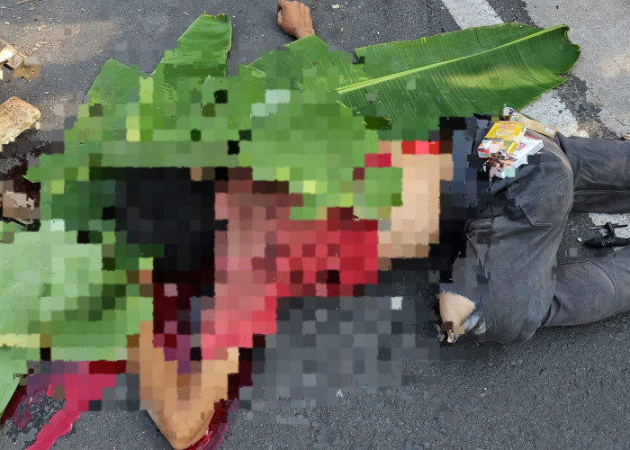 Pemotor Diteriaki Maling Tancap Gas Hingga Menabrak Tiang Listrik, Terduga Pelaku Tewas Terkapar di Jalan 