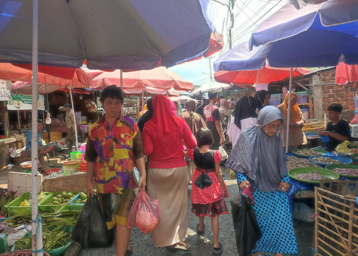 Update Harga Rata-Rata Bahan Pokok di Pasar Tradisional Palembang 7 Juli 2023, Daging Ayam Ras Turun