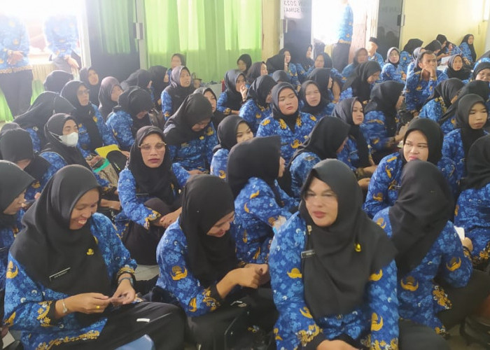 163 Penyuluh Keluarga Berencana PPPK Dilantik Kepala Perwakilan BKKBN Sumsel