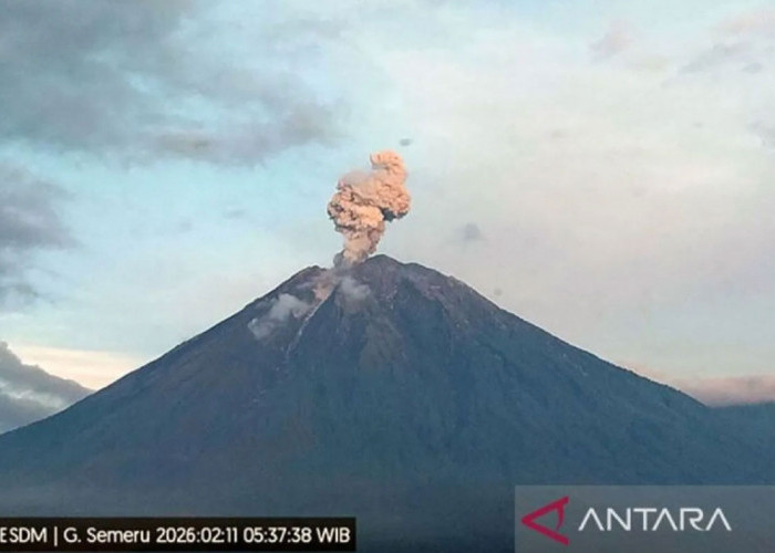Gunung Semeru Erupsi Pagi Tadi, ini Himbauan PVMBG