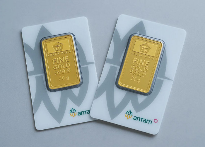 Update Harga Emas Antam 23 Juni 2026: Daftar Lengkap Harga dari 0,5 Gram hingga 1 Kg