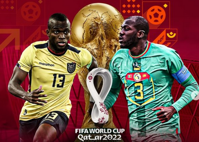 Link Live Streaming Senegal vs Ekuador di Piala Dunia 2022: La Tricolor Butuh Imbang untuk Lolos 16 Besar 