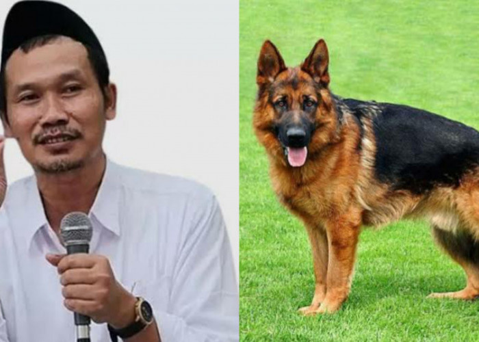 HEBOH, Gus Baha Sebut Anjing Tak Dihukumi Najis, Warganet Banyak yang Gagal Paham: Lah Kok Bisa Gus?