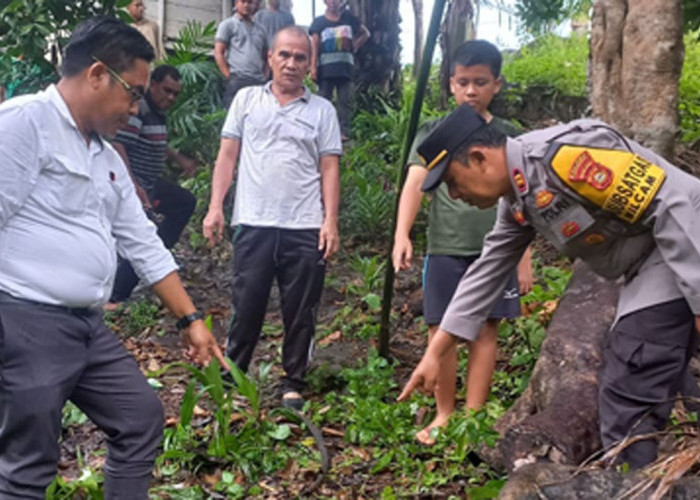  Diduga Terpeleset Saat Panjat Pohon Durian, Pria Lajang 72 Tahun di Musi Rawas Ditemukan Tewas 