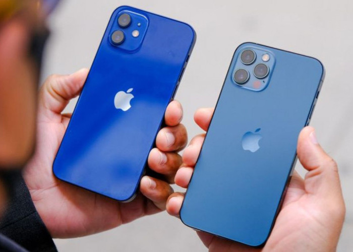 Kabar Gembira! iPhone 12 Kini Mulai dari Rp 3 Jutaan di Bulan Oktober 2024!