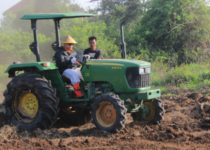 Atasi Inflasi Harga Cabe, Pj Walikota Palembang Dorong Dinas Pertanian Optimalkan Lahan Perkebunan