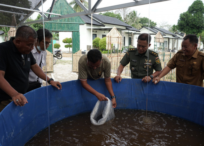 Ribuan Benih Ikan Dibudidayakan di Kolam Terpal, Tingkatkan Ketahanan Pangan