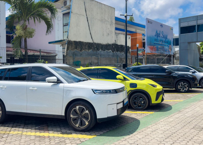 Clean Energy Day PLN UID S2JB Catat Penghematan Emisi Karbon Signifikan
