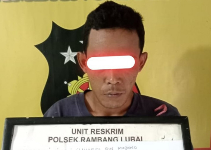 Kedapatan Gelapkan Karet, Karyawan PTPN VII Ditangkap
