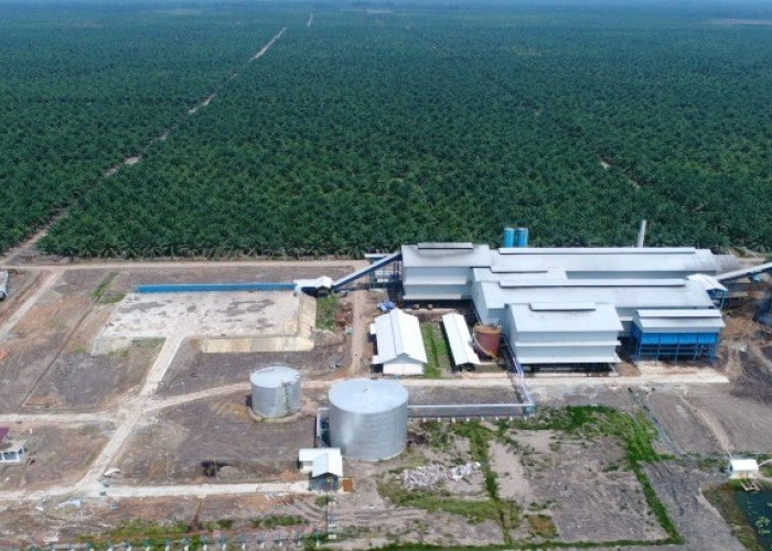 Info Lowongan Kerja Sriwijaya Palm Oil Group, Kesempatan untuk Lulusan Teknik