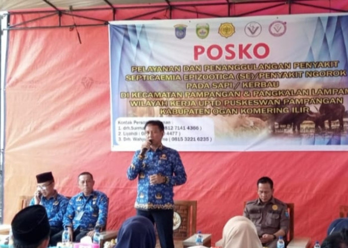 Pj Bupati OKI Tinjau Langsung Penanganan Wabah Penyakit pada Kerbau di Pampangan