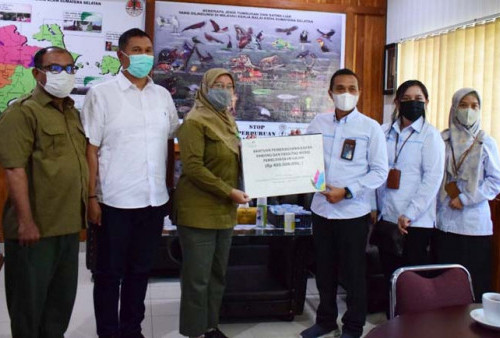 Terancam Punah, PLN Peduli Dukung Pelestarian Gajah Sumatera
