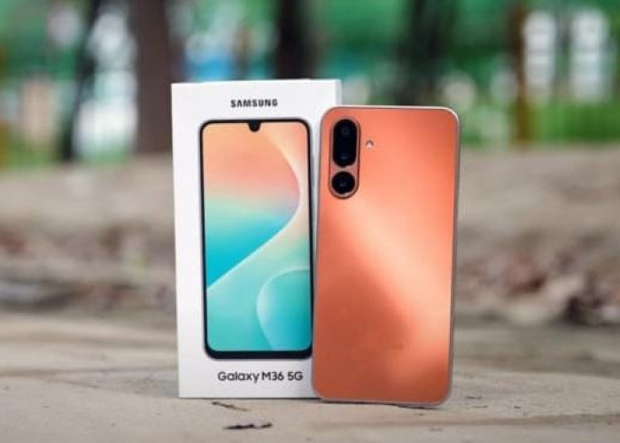 Samsung Galaxy M36: Desain Ramping dengan Layar Super AMOLED dan Perlindungan Corning Gorilla Glass Victus+