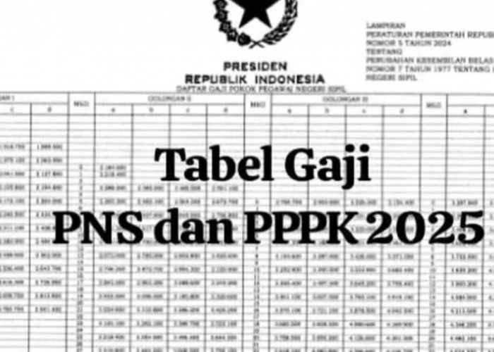 Horee! Terkait Gaji PPPK Perpres Resmi Disahkan, PPPK Tahap 2 Akan Terima Gaji