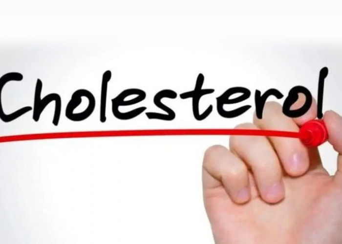 Terbukti Aman! 8 Cara Ampuh Turunkan Kolesterol Secara Alami Tanpa Efek Samping