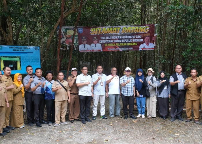Jamur Pelawan Namang Masuk Tahap Pemeriksaan Substantif Indikasi Geografis