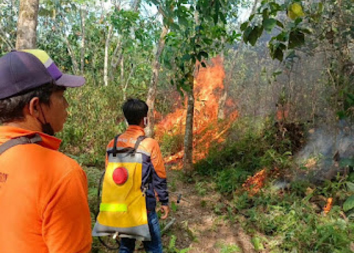 Hujan Dua Hari Belum Mampu Kurangi 225 Titik Api di Lima Kecamatan PALI