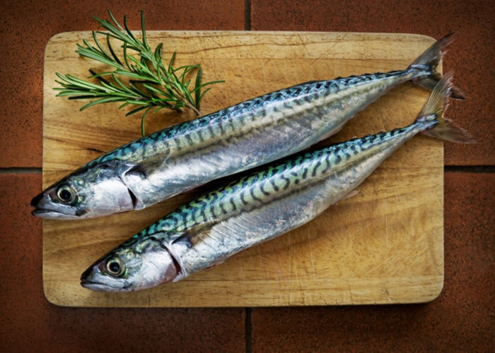 Dari Ikan Tuna hingga Ikan Kembung, Inilah 5 Pilihan Ikan Bernutrisi untuk Kesehatan