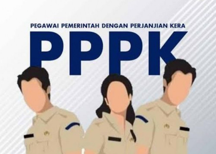 Wajib Tahu! Pemerintah dan DPR Matangkan Aturan Baru Tak Ada Lagi Tenaga Honorer