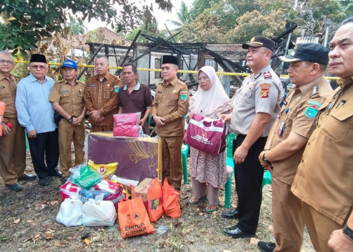 Wabup Ogan Ilir Tinjau Lokasi Kebakaran di Desa Sungai Pinang II, Salurkan Bantuan untuk Korban