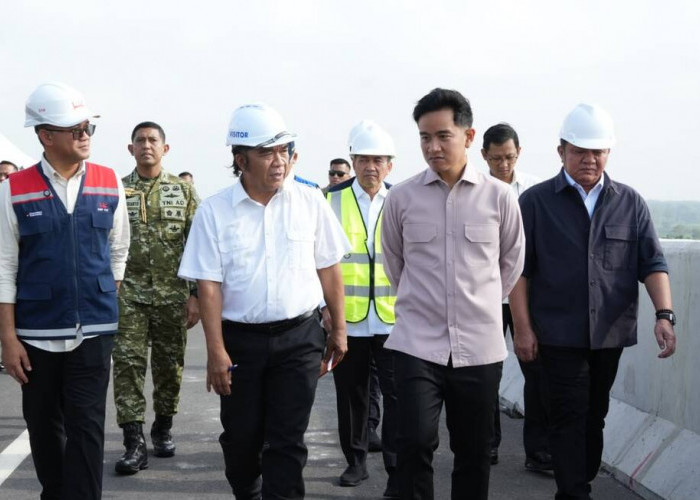 Tinjau Jembatan Musi V di Palembang, Wapres RI Dorong Percepatan Penyelesaian Pembangunan JTTS