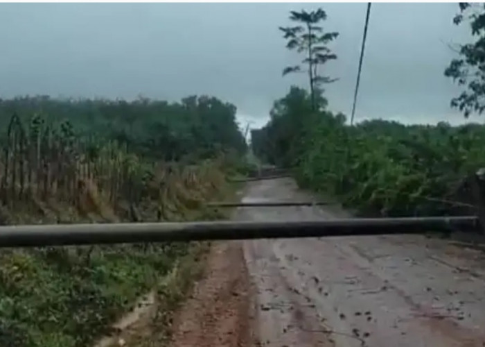 Empat Tiang Listrik di Pedamaran Timur OKI Roboh, Hujan Deras dan Angin Kencang