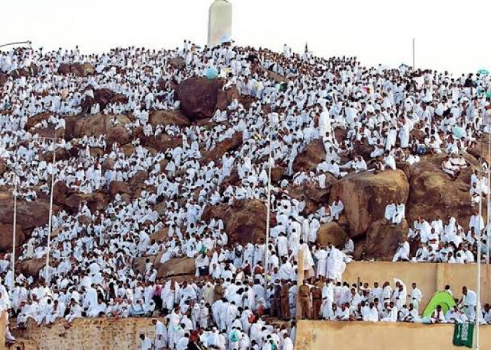 553 Kloter Jemaah Haji Indonesia Tiba di Arafah, Kemenag: Sesuai dengan Jadwal
