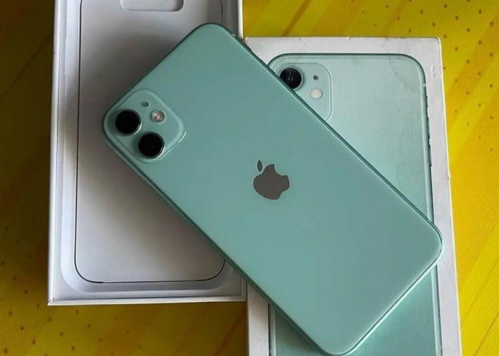 Review iPhone 11 di 2026, Apakah Masih Worth It untuk Dibeli?