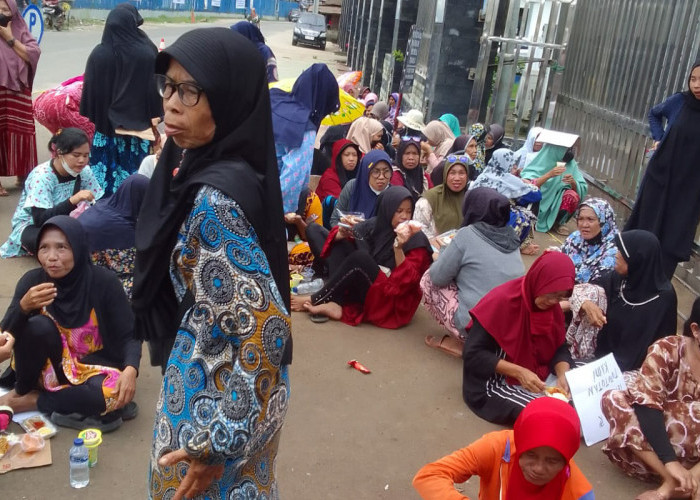 Emak-Emak Kembali Datangi PT Wilmar Indonesia, Ada Apa? 