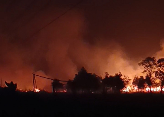 Kualitas Udara Palembang Memburuk Minggu Malam, Warga Diminta Batasi Aktivitas di Luar Rumah