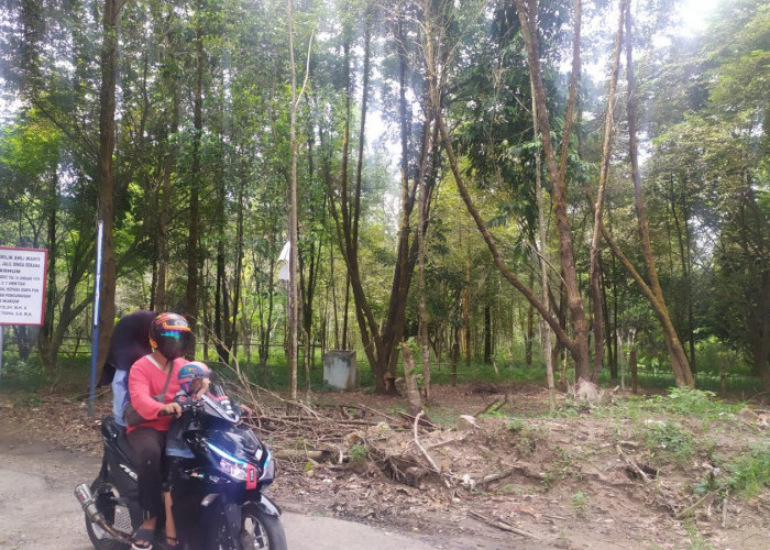 Dibangun 2011, Hutan Kota Kayuagung Jadi RTH