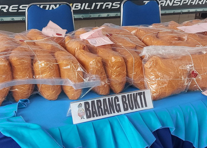 Begini Penampakan Barang Bukti 50 Kilogram Sabu-Sabu yang Diamankan Timsus Narkoba Polda Sumsel 