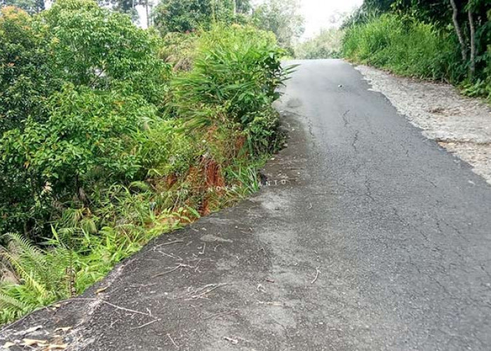 WASPADA! Jalan Alternatif Menghubungkan 6 Desa Di Kecamatan Kikim Selatan Longsor