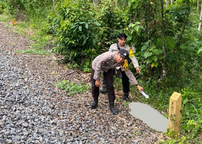 Kereta Api Sambar Pria Tanpa Identitas, Terpantau Sering Mondar-Mandir, Diduga ODGJ 