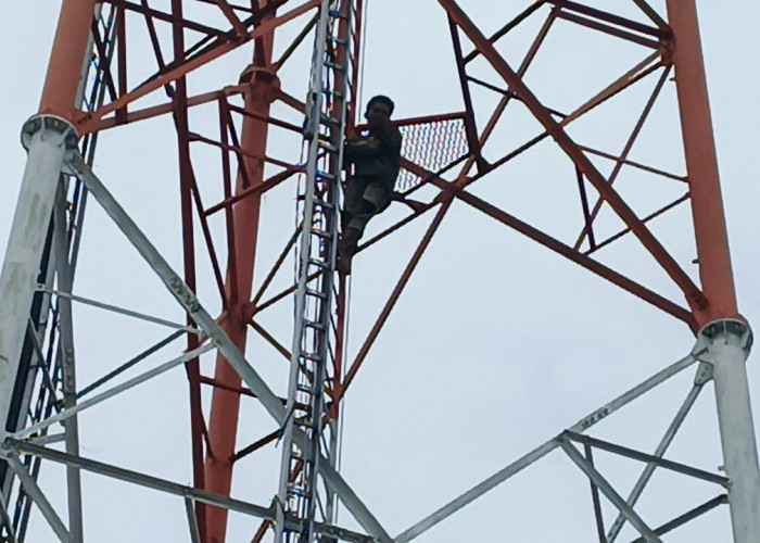 Warga Sukarami Palembang Heboh, Pria Terganggu Mental Panjat Tower Telekomunikasi