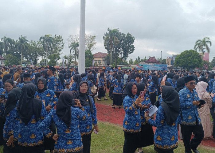 Ini Alasan Ribuan PPPK Paruh Waktu di Kabupaten OKI Tidak Dapat THR