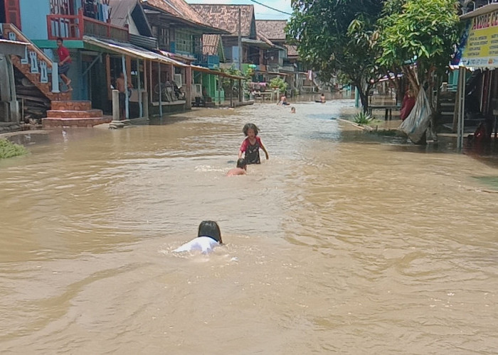   Hadapi Banjir, Dinkes Muratara Siapkan Anti Bisa Ular