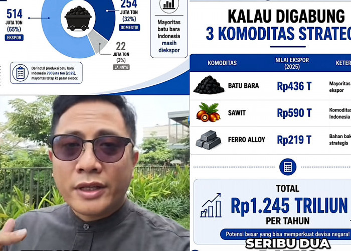Listrik Padam Biasanya Alam yang Disalahkan, Tapi Kali Ini Batu Bara, Kok Bisa? 