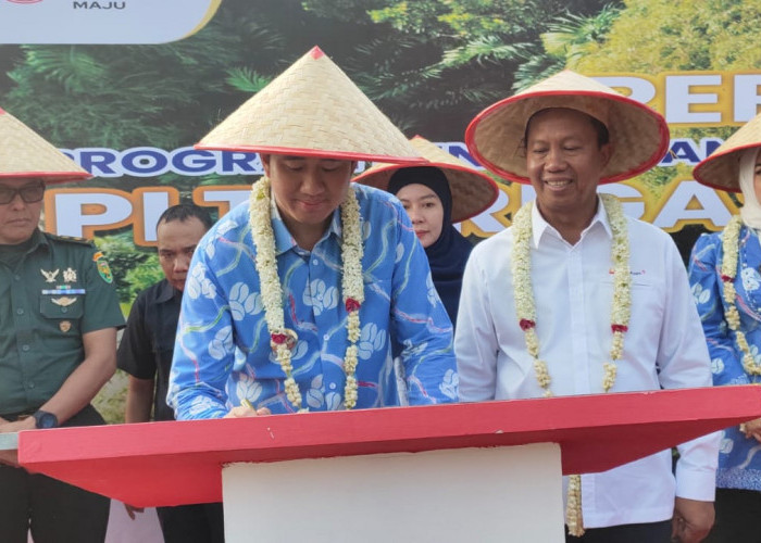 Plt Bupati Muara Enim Ahmad Usmarwi Kaffah Resmikan PLTS 38 KWP Aliri 35 Hektar Sawah 