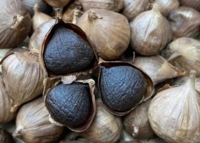 10 Kandungan Antioksidan Super Bawang Hitam, Ampuh Tangkal Radikal Bebas dan Penuaan Dini