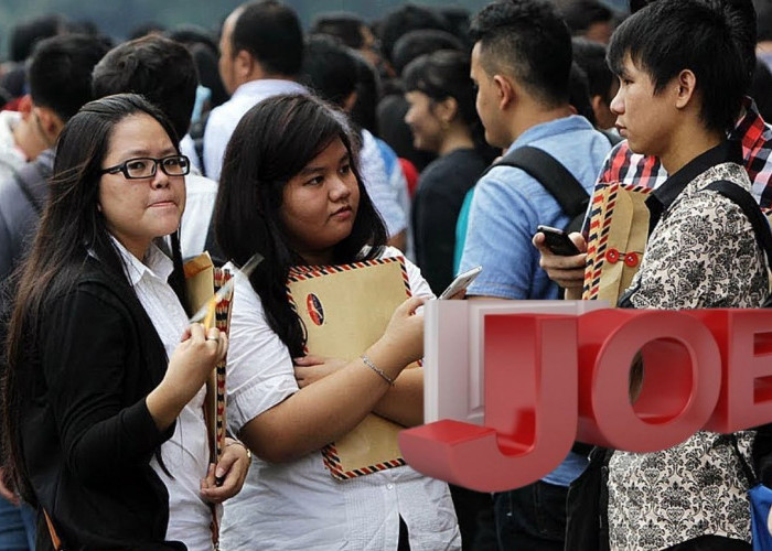 Info Loker All Perusahaan: Lowongan Pekerjaan BUMN dan Umum Terbaru, Cek Syarat dan Cara Daftarnya