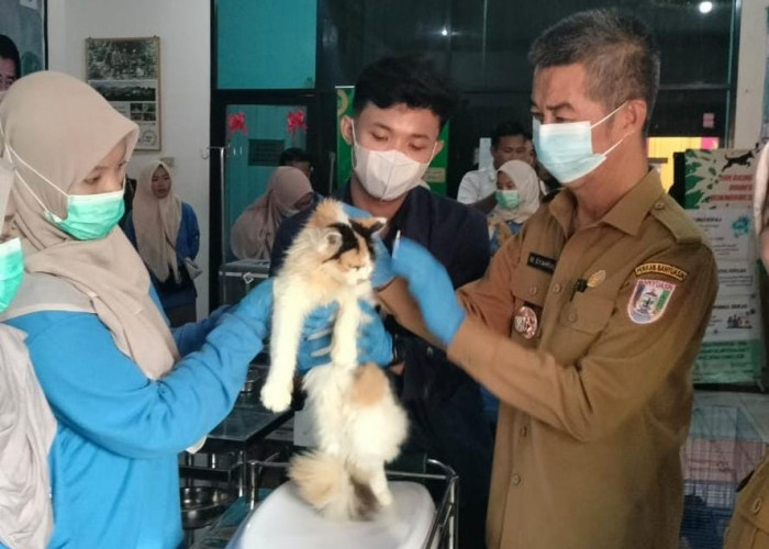 Banyuasin Targetkan Bebas Rabies Tahun 2028, Pemkab Gencarkan Vaksinasi Hewan