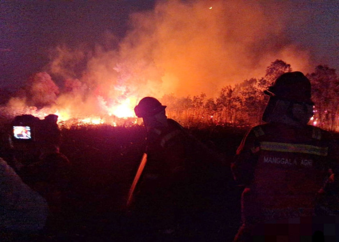 Kebakaran Lahan 15 Hektare di Sungai Rambutan Ogan Ilir, Petugas Berjibaku Padamkan Api dari Sore Hingga Malam