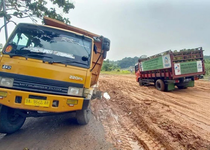 Bikin Macet Jalan Lingkar Muara Enim, Sopir Dump Truck yang Angkut Batu Bara Ilegal Jadi Tersangka