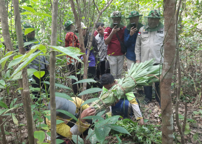 Kopi Robusta Lahat Resmi Bersertifikat Indikasi Geografis, Petani Siap Menuju Kesejahteraan