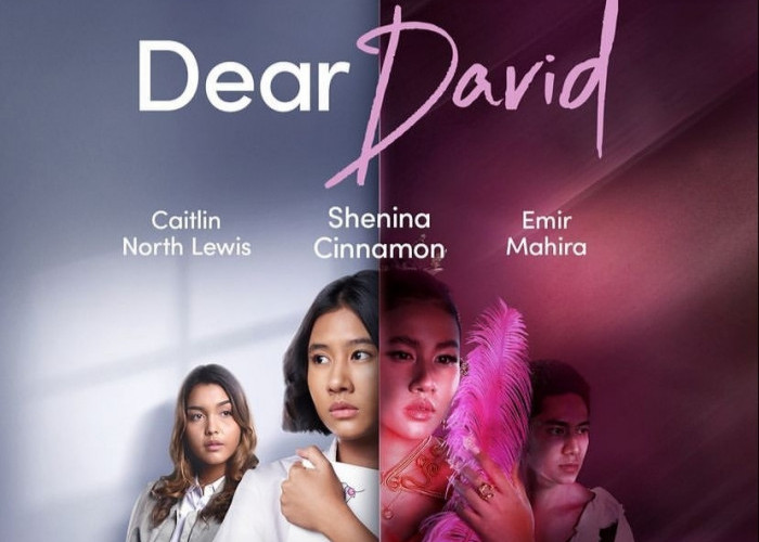 Tayang Hari Ini di Netflix : Dear David, Bukan Drama SMA Biasa