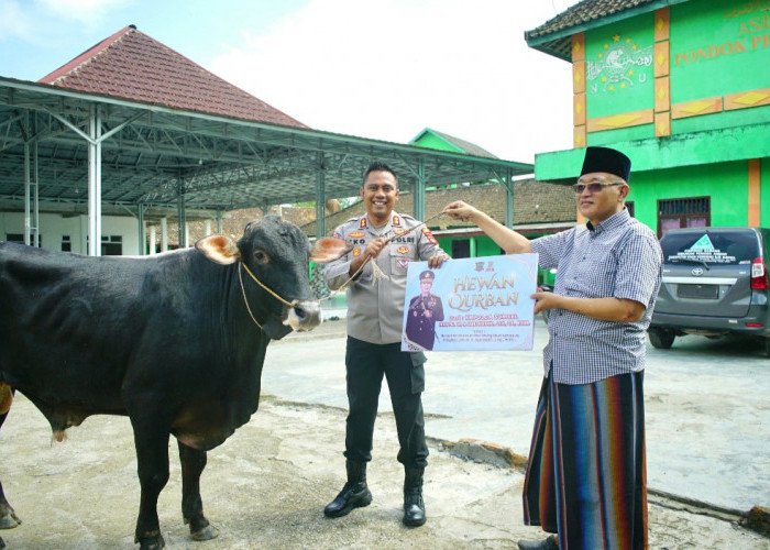 Hewan Kurban dari Kapolda Sumsel Diserahkan Kapolres OKI ke Pondok Pesantren di Lempuing